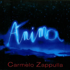 Al momento stai visualizzando Anima